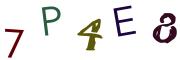 Bild-CAPTCHA