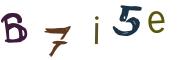 Bild-CAPTCHA