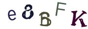 Bild-CAPTCHA