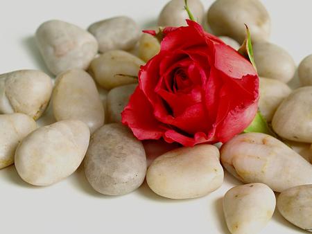 Elternabend zum Versöhnungsweg