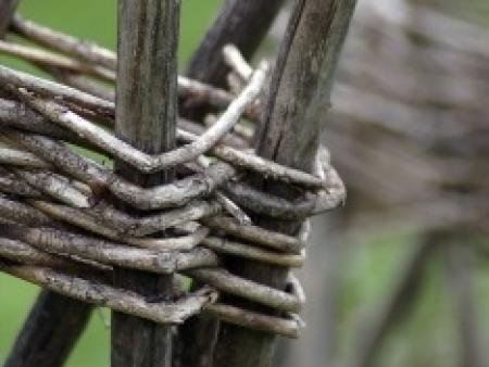 Seniorinnen und Senioren.