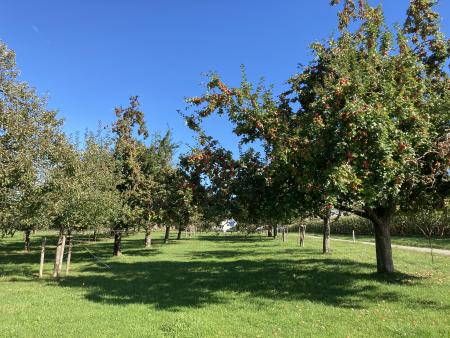 ökumenischer Gottesdienst auf dem Bauernhof in Stettfurt
