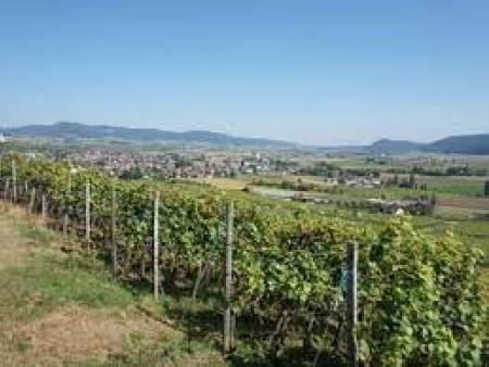 Mitarbeiterausflug 2023